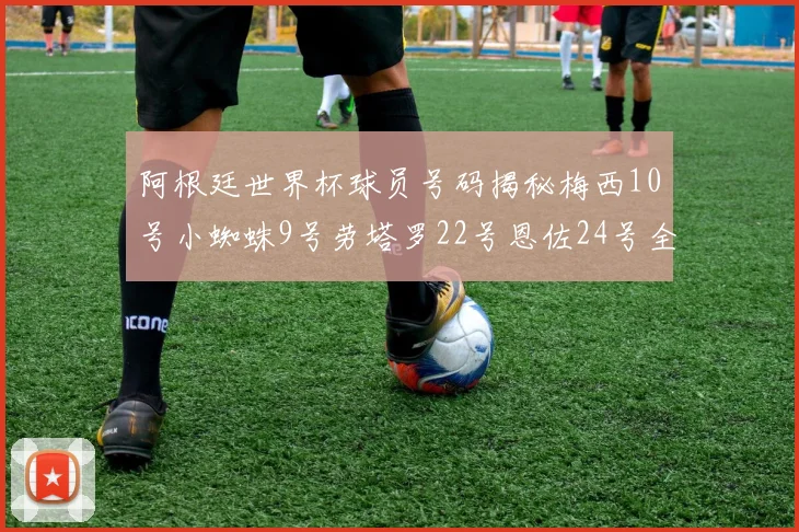 阿根廷世界杯球员号码揭秘梅西10号小蜘蛛9号劳塔罗22号恩佐24号全解析